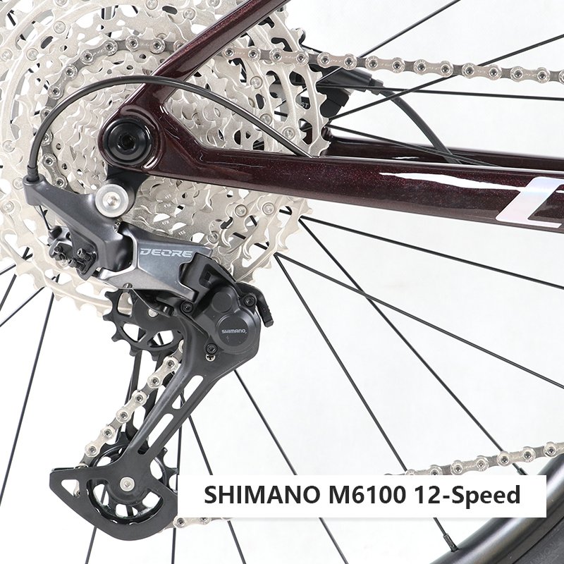 ALVAS SPIDER CLS carbon fiber mountain bike 12 speed 29 inch male and female recreational student riding