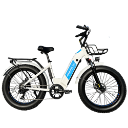 48V 750W