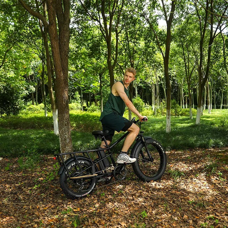1000W 48V10.5 Ah Long Range Electric Mountain Bike Strong Suspension Fat Tire Aluminum Frame Dual Battery Electric Bicycle