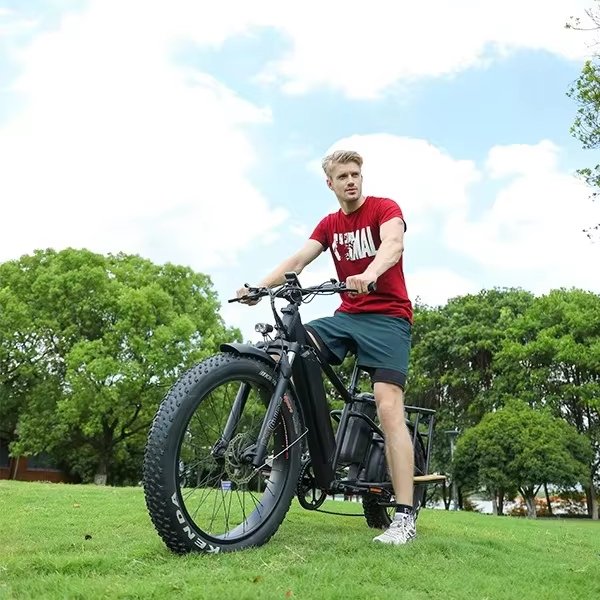 1000W 48V10.5 Ah Long Range Electric Mountain Bike Strong Suspension Fat Tire Aluminum Frame Dual Battery Electric Bicycle