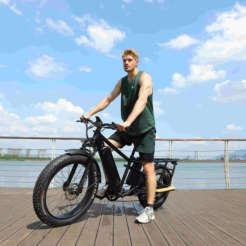 1000W 48V10.5 Ah Long Range Electric Mountain Bike Strong Suspension Fat Tire Aluminum Frame Dual Battery Electric Bicycle