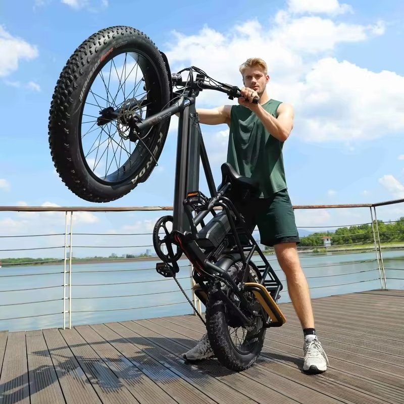 1000W 48V10.5 Ah Long Range Electric Mountain Bike Strong Suspension Fat Tire Aluminum Frame Dual Battery Electric Bicycle