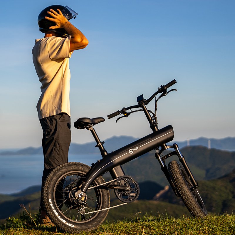 KIXIN Europe Usa Warehouse Stock 48v 750w 20inch Fat Tire Beach Bike Electric Scooters Powerful Adult Electric City Bike E Bike