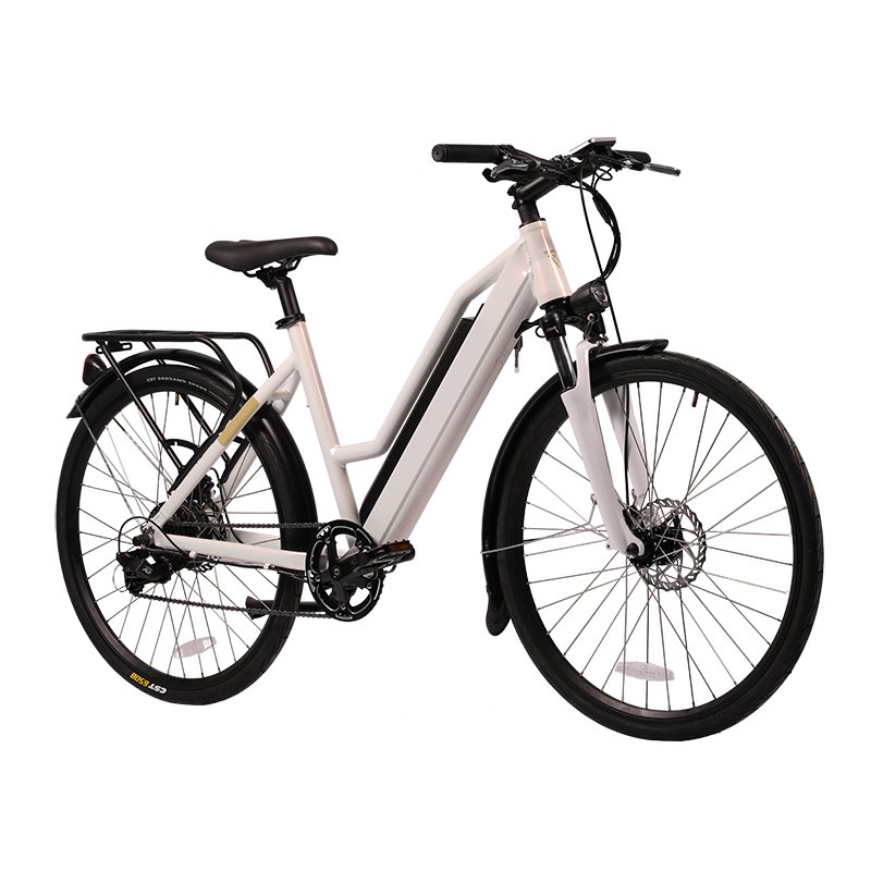CB002 E-bike Pedal Assisted Hidden Battery Electric Bicycle Electric City Bike LED Electronic Rear Hub Motor 36V 7 Speed DC 2.1