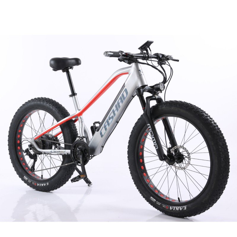 Aluminum Alloy Suspension Fork Electric Bicycle Wide & Fat Tires Mountain Bike with 48v Lithium Battery Smart Electronic Type