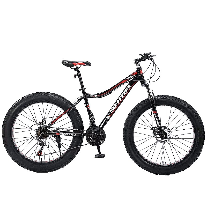 China Discount High Quality Popular Bicycles 20 24 26 27.5 29 Inch 21 Speed Downhill Cycle Steel Cheap Mountain Bike For Women
