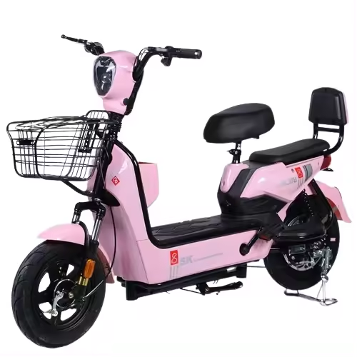 Factory direct sales e-bike made in china electric bicycle battery adult electric bike