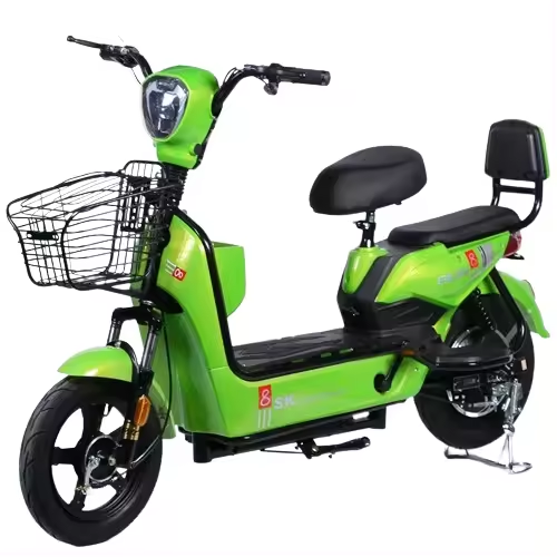 Factory direct sales e-bike made in china electric bicycle battery adult electric bike
