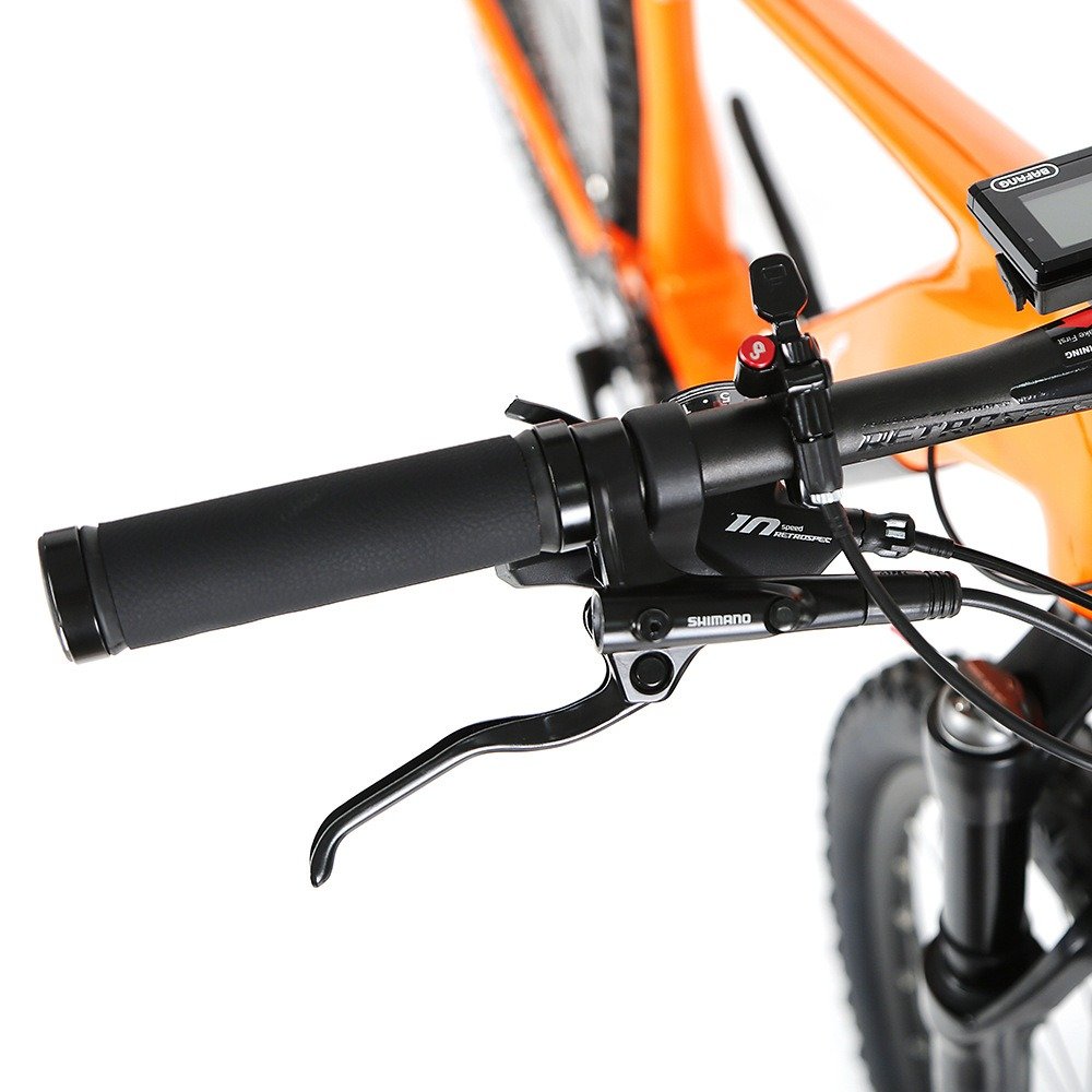 Lightweight 48V 250W 13AH Aluminum Electric Mountain Bike 29 Inch Downhill Electric Bike for Adults with Bafang Motor