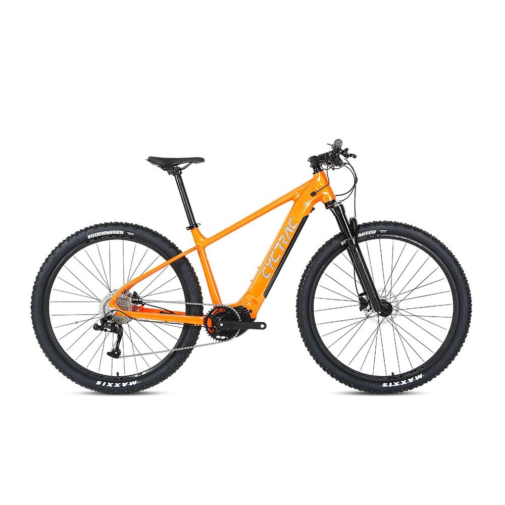 Lightweight 48V 250W 13AH Aluminum Electric Mountain Bike 29 Inch Downhill Electric Bike for Adults with Bafang Motor