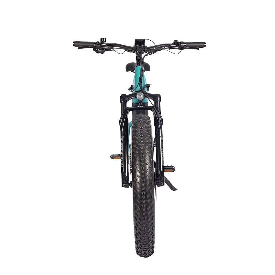 Electric Mountain Bike Aluminum Alloy Frame Color Screen Bafang Mid Motor 26Inch Fat Tires High Power 1000W Bicycle