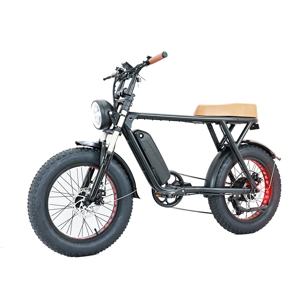 Shuangye Super Style 500w 750w Motor 48v Electric Hybrid Bike Two Seat 73 Fat Tire Electric Bike Bicycle bicicleta electrica