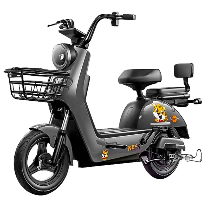 Factory 48V 20Ah Rear Hub Noiseless LCD Electric City Bike with 6-Tube Digital Controller Smart Sensor Beautiful Steel Frame