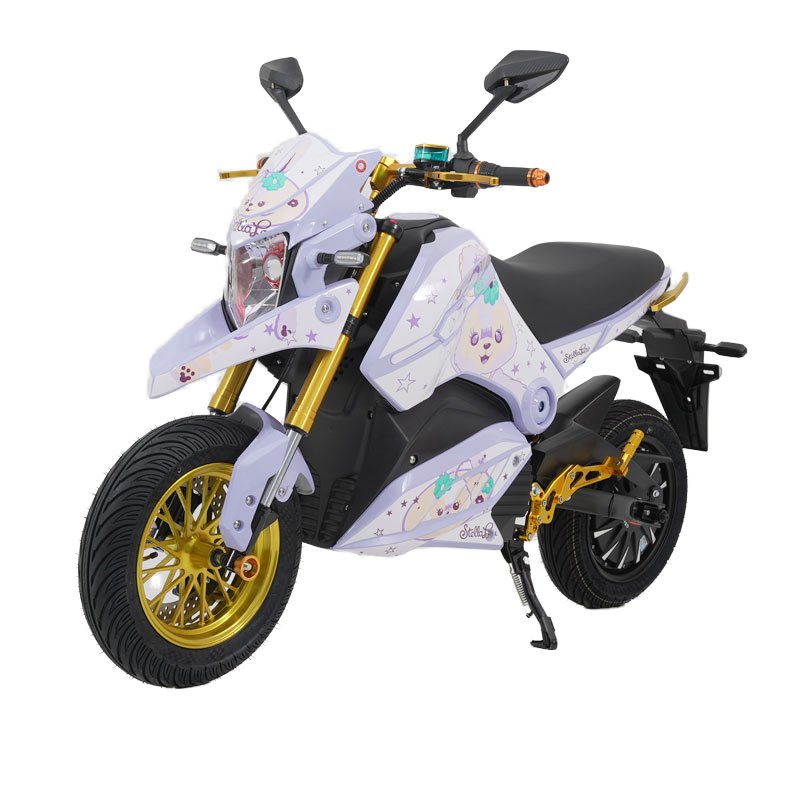 High-Power 72V/96V Battery Electric Motorcycle Cool Racing Sports Scooter Motorcycle for Sports & Racing