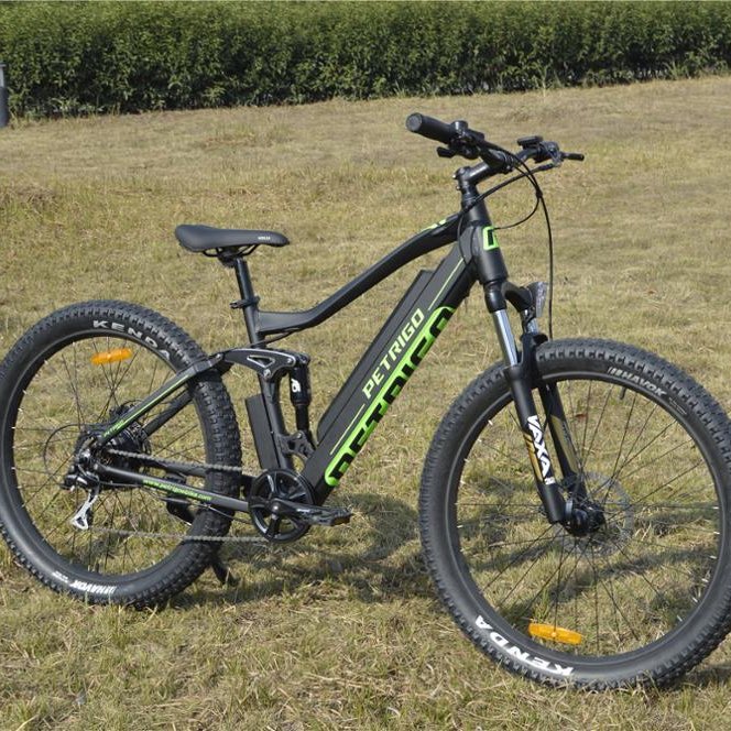 PETRIGO Retail Cheap 3.0 Fat Tire eBike 36v 250w e bike lithium battery electric bike rear hub motor enduro Electric bicycle CE