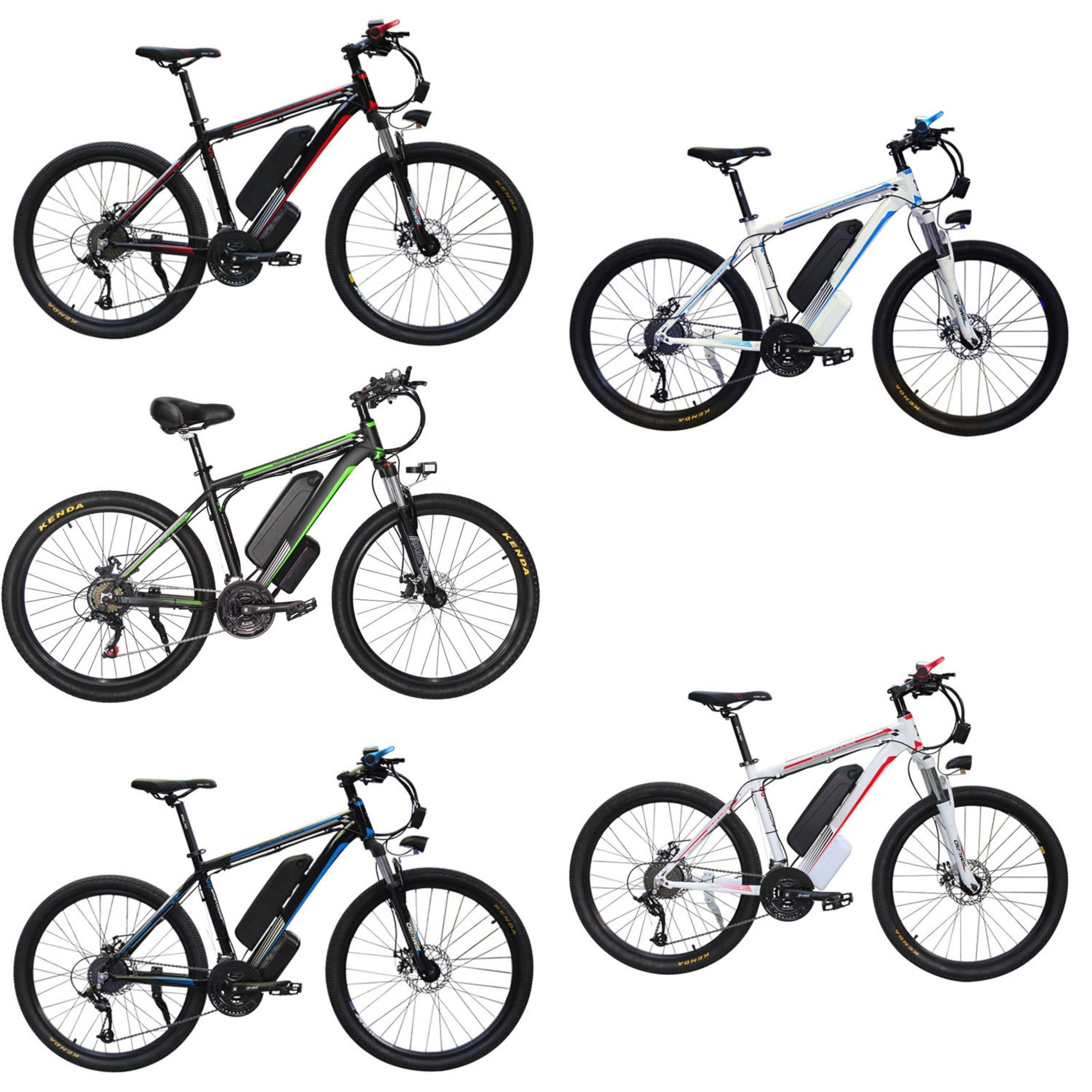 48V 350W 13A Lithium Battery Electric Bike 21 Speed Electric Bicycle With Long Range