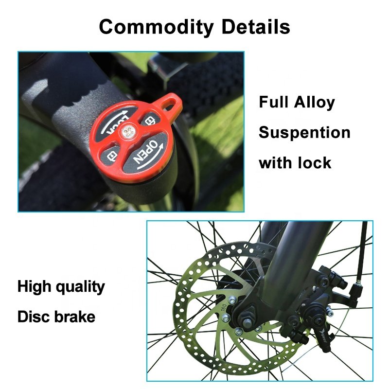 48V 350W 13A Lithium Battery Electric Bike 21 Speed Electric Bicycle With Long Range