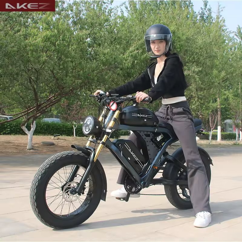 1500W Intelligent Electric Mountain Bike with Front and Rear Hydraulic Brakes for Fat Bike and E-Bike Applications