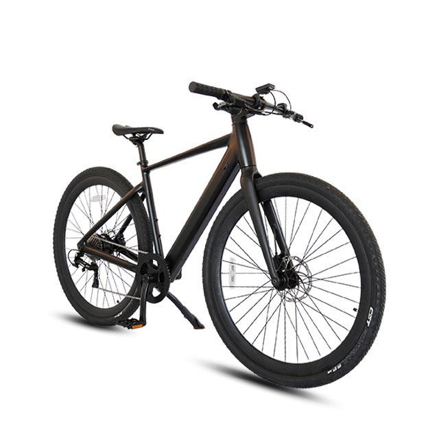 Electric Gravel Bike 250W Electric Mountain Bike 29 Inch 10 Speed Ebike Fast Bicycle Electric For Adult