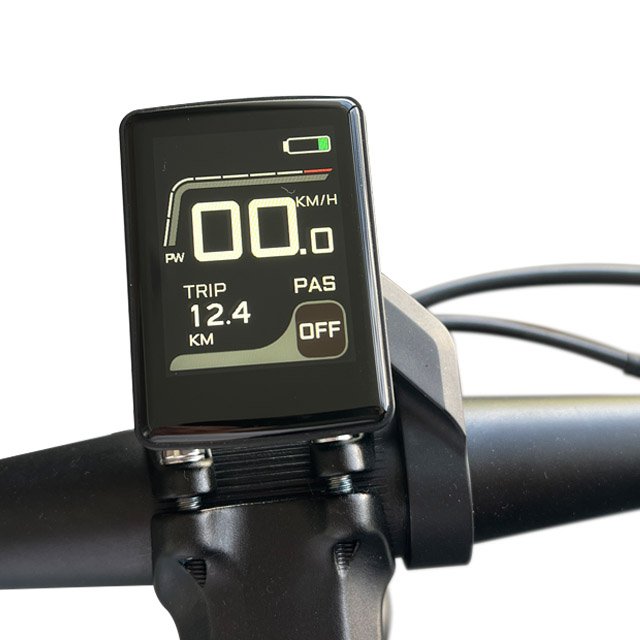 Electric Gravel Bike 250W Electric Mountain Bike 29 Inch 10 Speed Ebike Fast Bicycle Electric For Adult