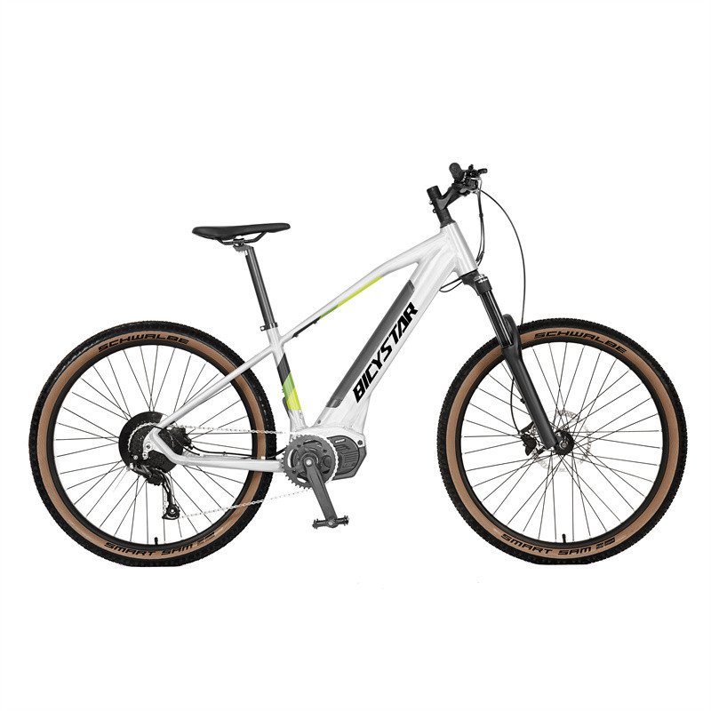 L 2021 high quality electric mountain bike for sale