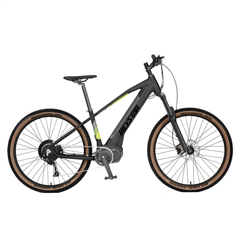 L 2021 high quality electric mountain bike for sale