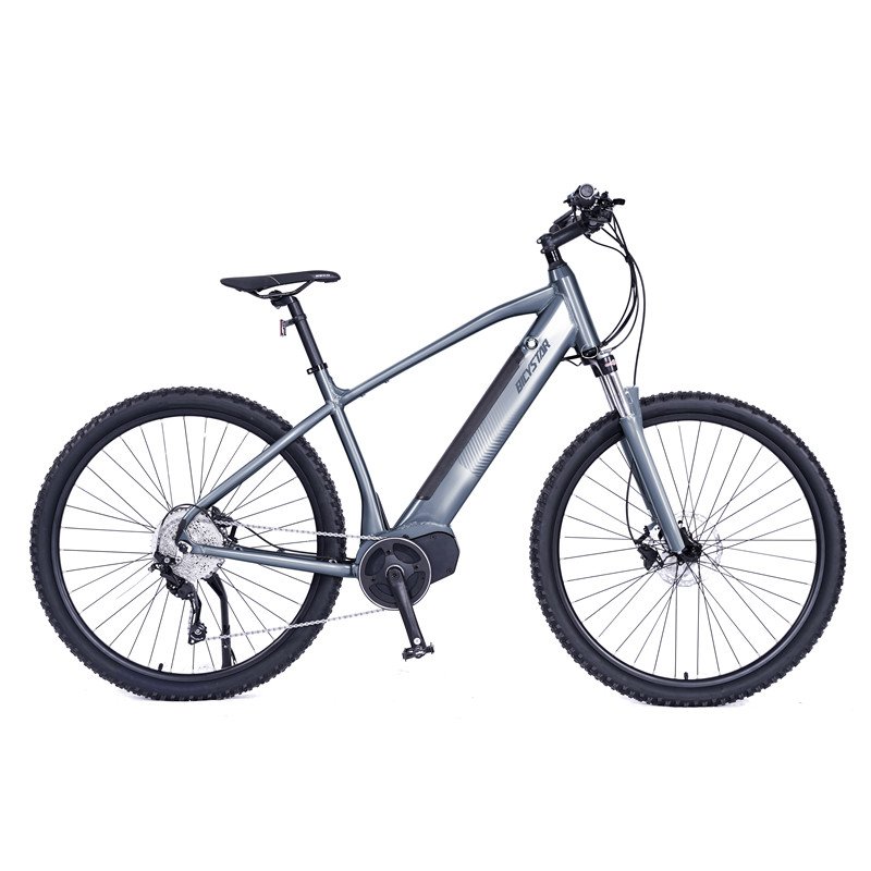 L 2021 high quality electric mountain bike for sale