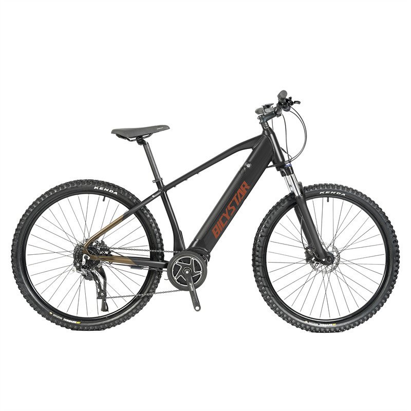 L 2021 high quality electric mountain bike for sale