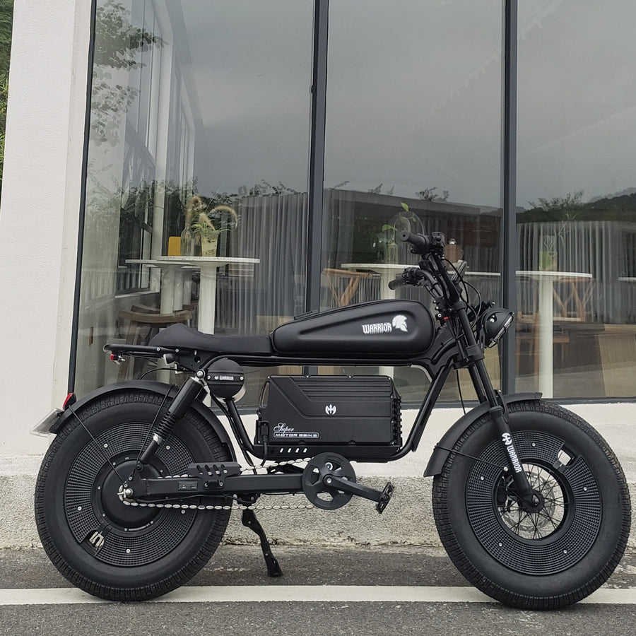 2024 Factory Direct New Style Electric Bike 1000W 48V 30AH 58AH Fat Tire ebike Electric Bicycle Mountain Snow City E-Bike