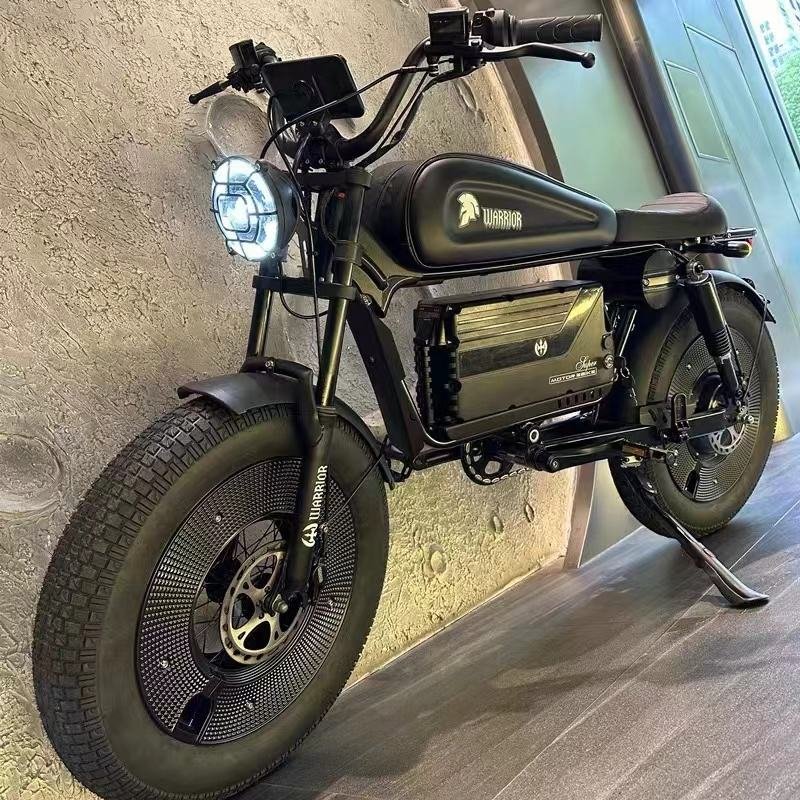 2024 Factory Direct New Style Electric Bike 1000W 48V 30AH 58AH Fat Tire ebike Electric Bicycle Mountain Snow City E-Bike