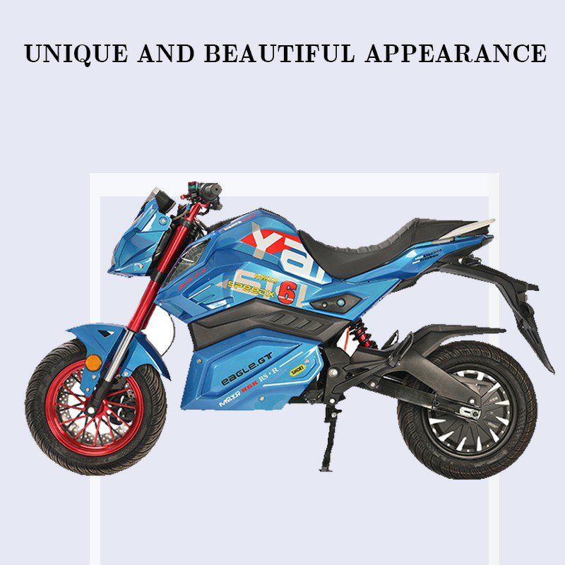 Powerful 2000W Lithium-Assist Urban Electric Bicycle High-Speed Sportbike Model Z6 8000W Motor 48V Voltage 3000W 5000W