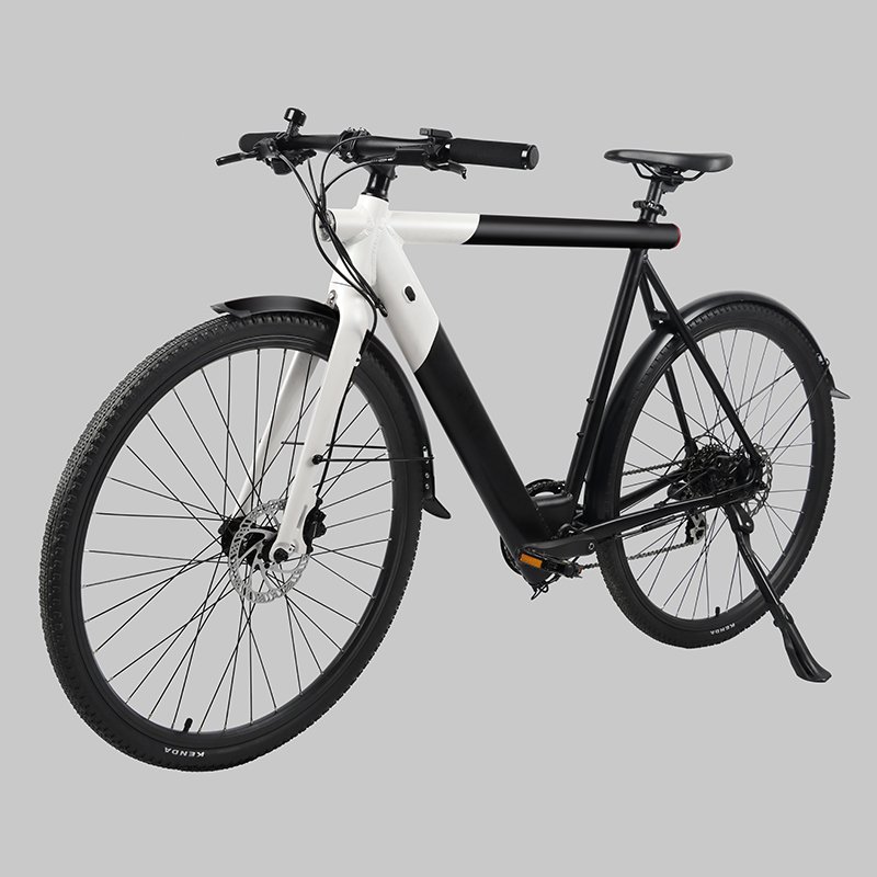 2023 Newest Design Light 250W Van Moof Bicycle Electric Electric City Bike for Women