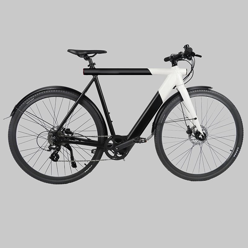 2023 Newest Design Light 250W Van Moof Bicycle Electric Electric City Bike for Women