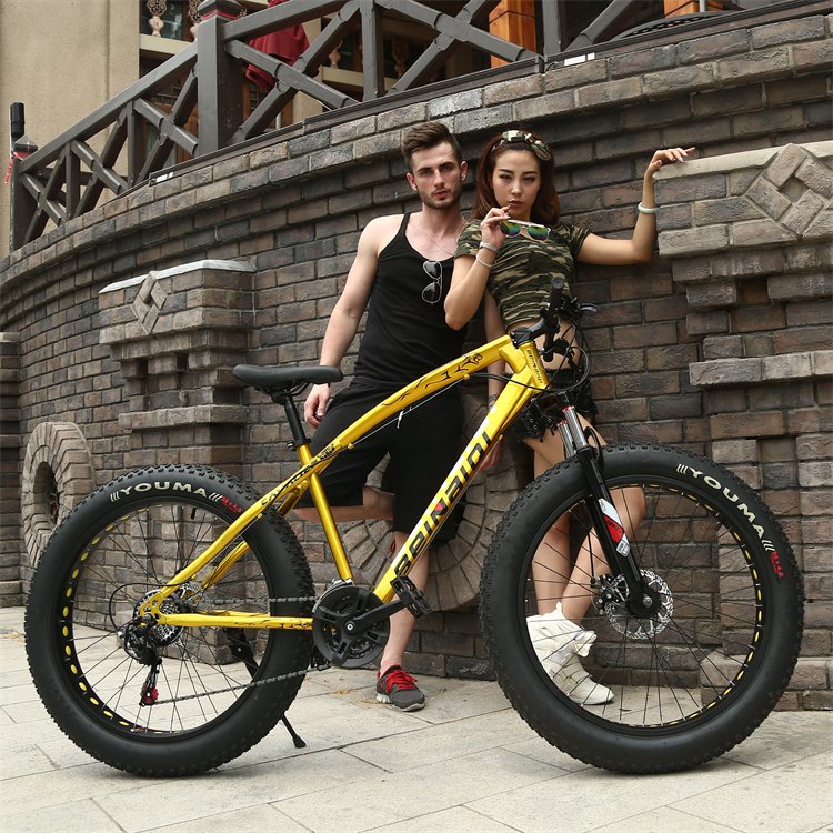Mtb high quality Wild Adult Cycle Man Downhill Bisicleta Bmx 20 Inch aro 26 29 disc brake bicycle fat tire mountain snow bike
