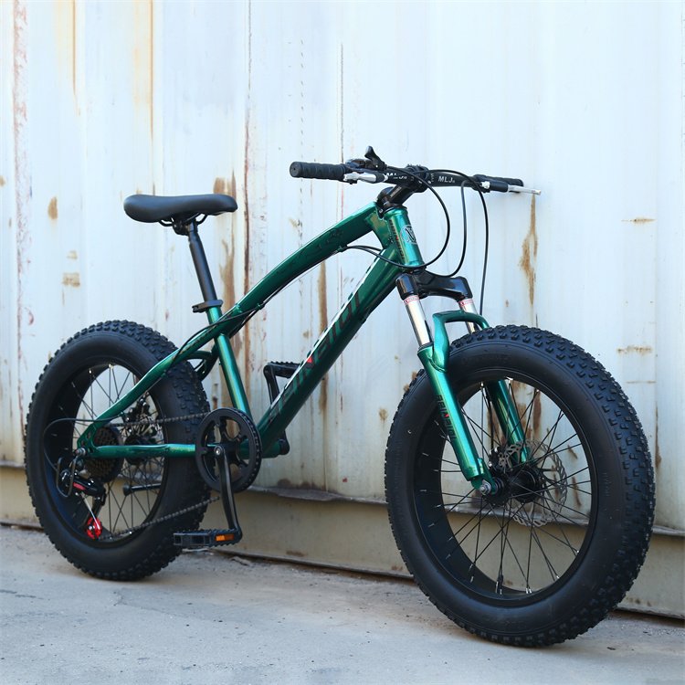 Mtb high quality Wild Adult Cycle Man Downhill Bisicleta Bmx 20 Inch aro 26 29 disc brake bicycle fat tire mountain snow bike