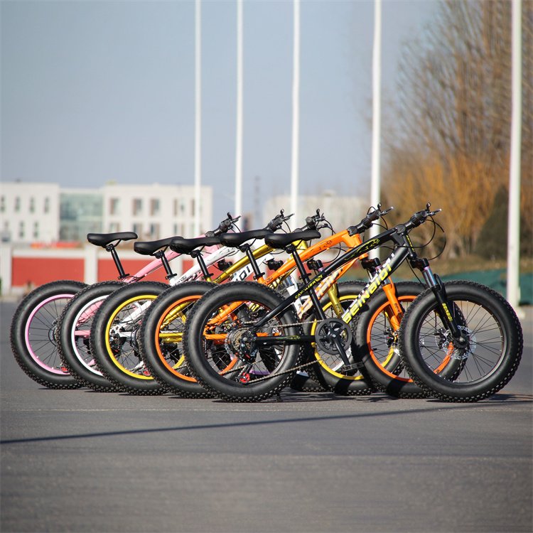 Mtb high quality Wild Adult Cycle Man Downhill Bisicleta Bmx 20 Inch aro 26 29 disc brake bicycle fat tire mountain snow bike