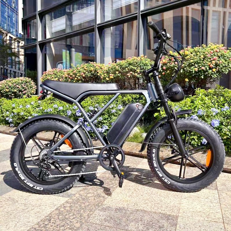 Ouxi H9 3.0 Single Double Battery Electric Fat Bike 20-Inch 7 Speed Mountain Bike for Adults