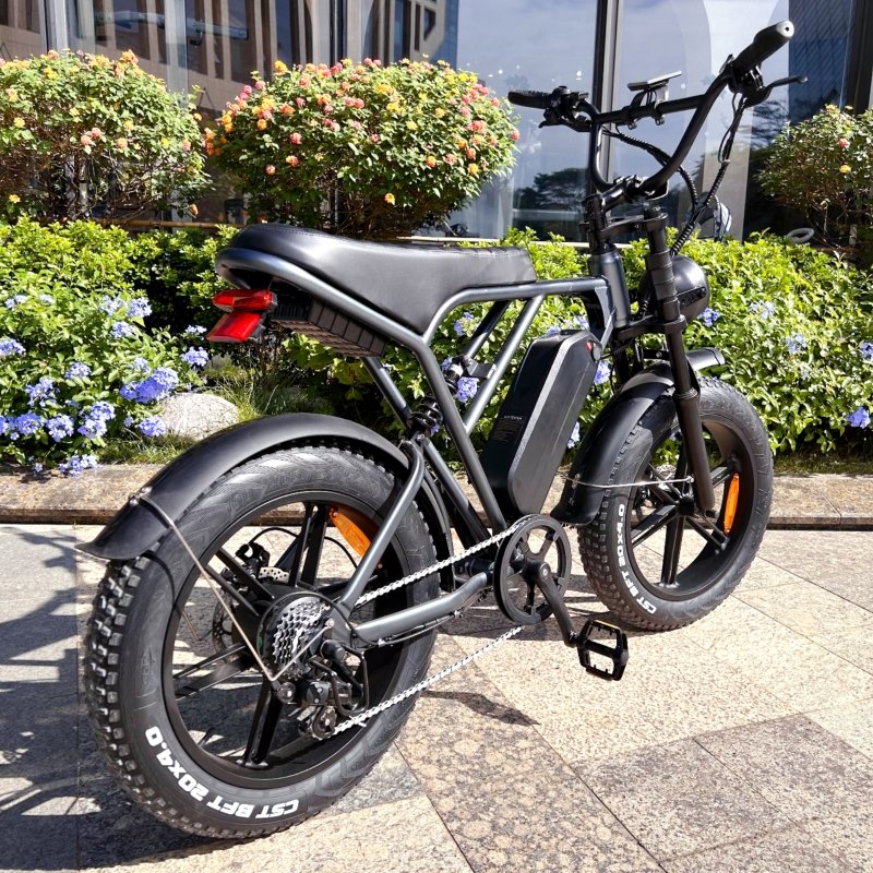 Ouxi H9 3.0 Single Double Battery Electric Fat Bike 20-Inch 7 Speed Mountain Bike for Adults