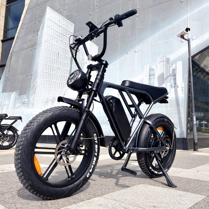 Ouxi H9 3.0 Single Double Battery Electric Fat Bike 20-Inch 7 Speed Mountain Bike for Adults