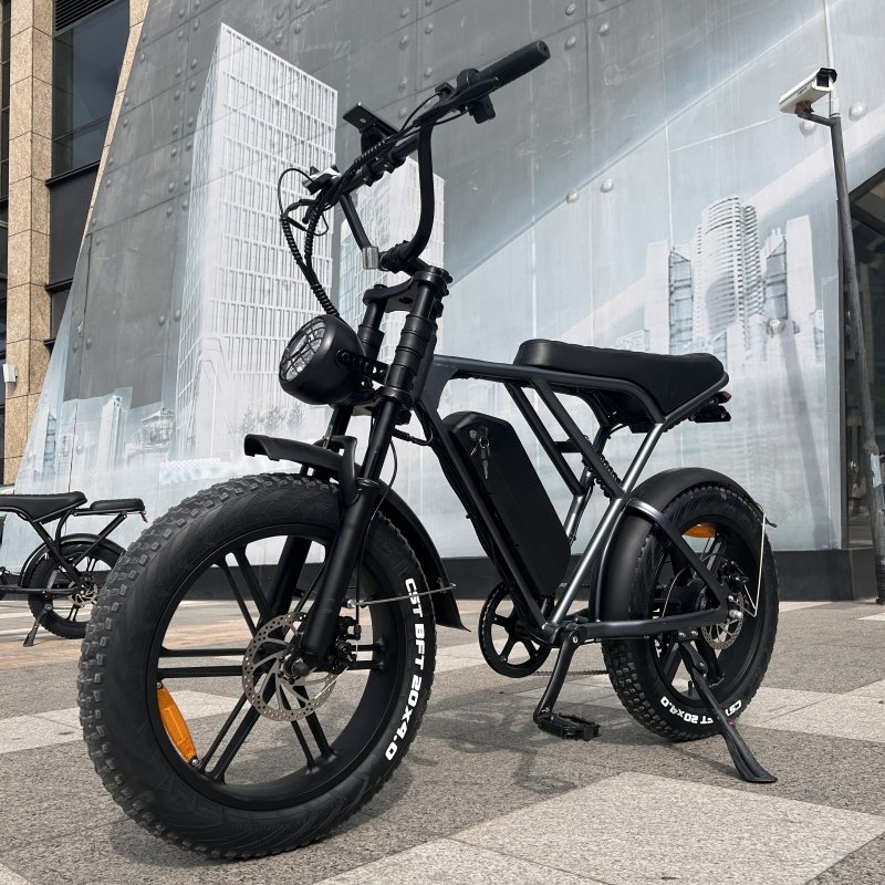 Ouxi H9 3.0 Single Double Battery Electric Fat Bike 20-Inch 7 Speed Mountain Bike for Adults