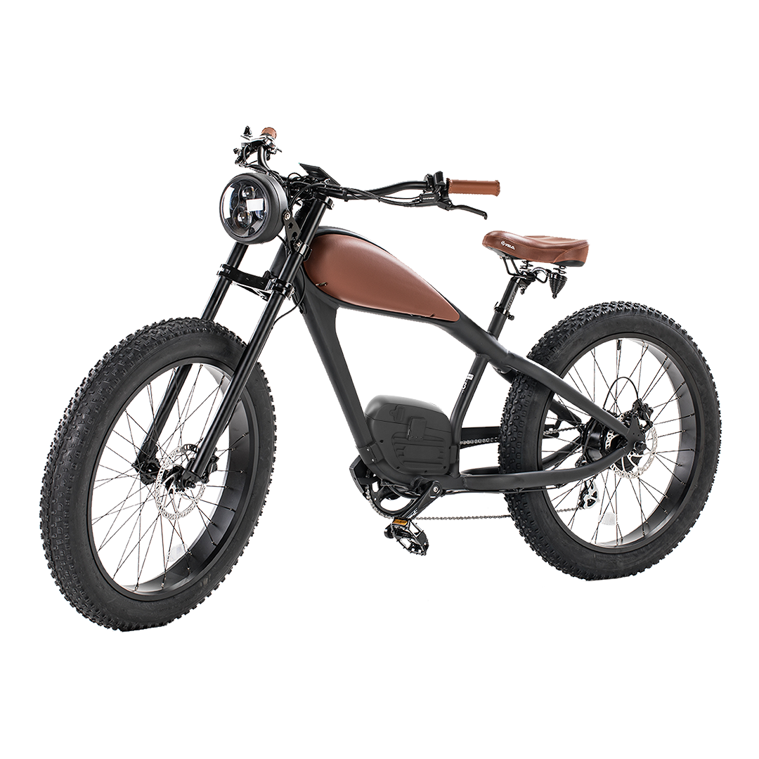 BISEK OEM 48V 25Ah Cafe Racer Electric Bike for Adults Retro Fat Tire City E Bike with 750W/1000W Rear Motor Double Battery