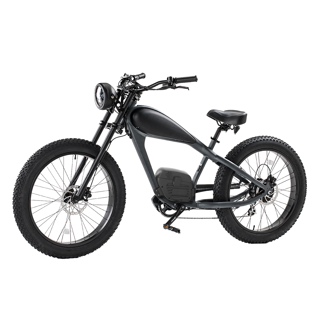 BISEK OEM 48V 25Ah Cafe Racer Electric Bike for Adults Retro Fat Tire City E Bike with 750W/1000W Rear Motor Double Battery