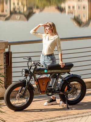 2024 US Warehouse Popular 48V 20AH Lithium Battery Electric City Bike 1200W Rear Hub Motor 20 Inch Fat Tire 60KM Sport Off-Road