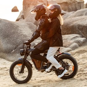 2024 US Warehouse Popular 48V 20AH Lithium Battery Electric City Bike 1200W Rear Hub Motor 20 Inch Fat Tire 60KM Sport Off-Road