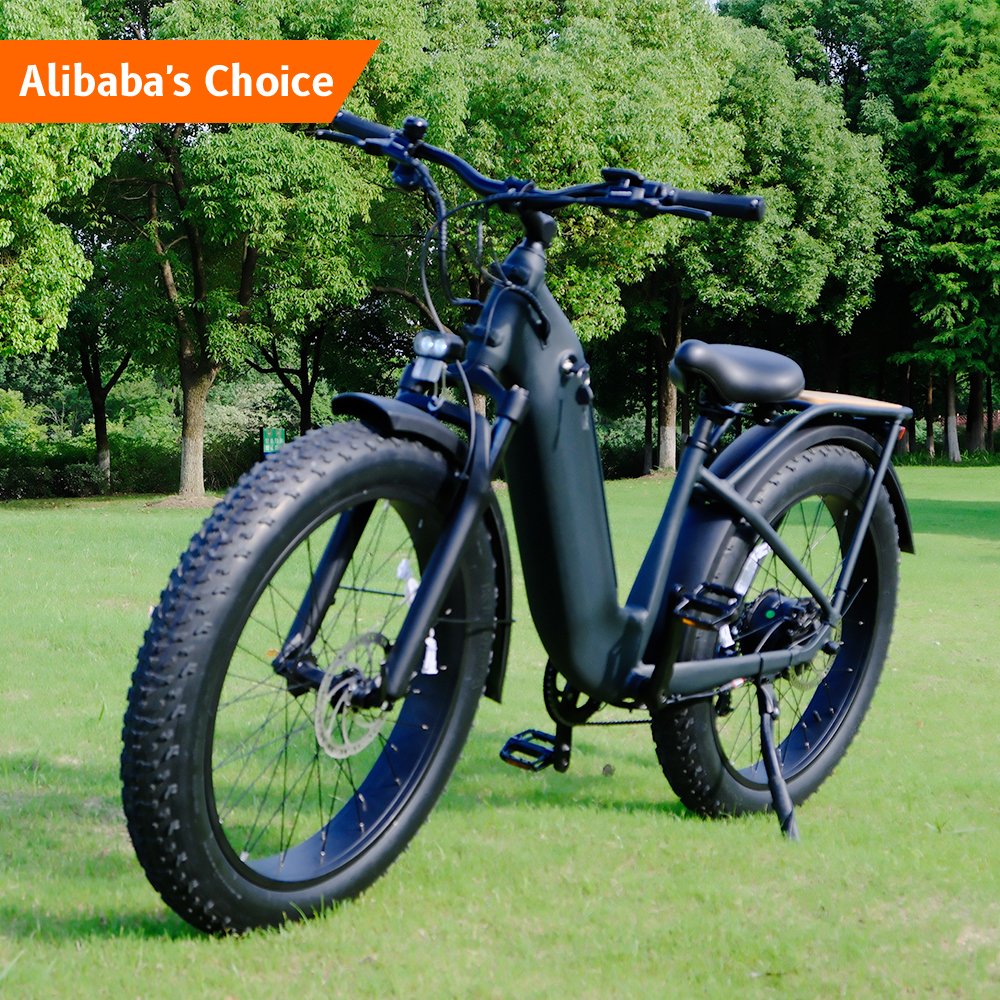 Well sale safety item large battery 26 inch 48v 250w adjustable adult electric city bike with seat