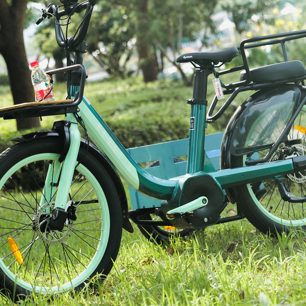 electric bicycle 250w electric city bike for adult e bikes electric cargo bicycle