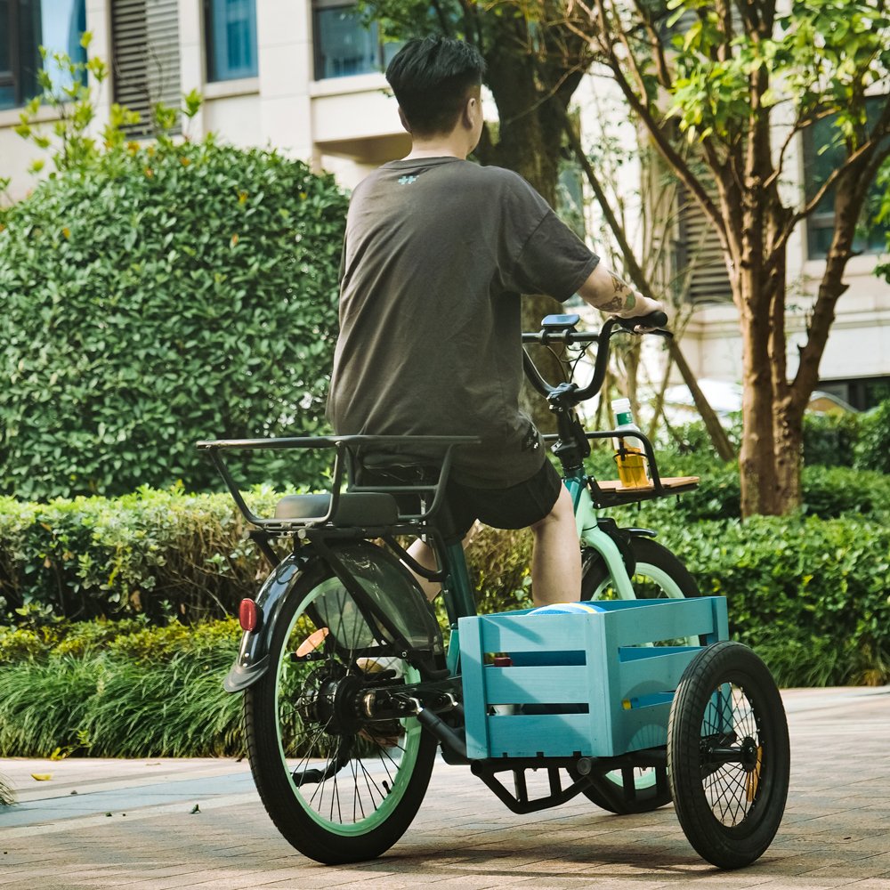 electric bicycle 250w electric city bike for adult e bikes electric cargo bicycle