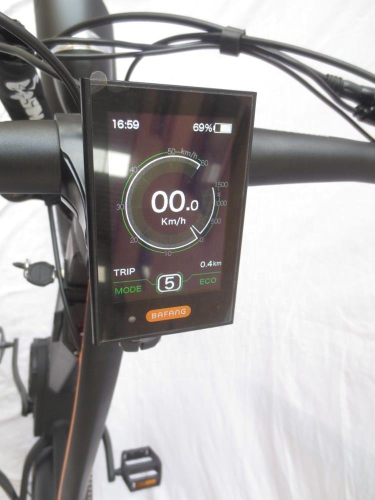 Queene High Performance Ultra Bafang Mid Drive Electric Mountain Bike Fat Tyre Bicicleta Electrica