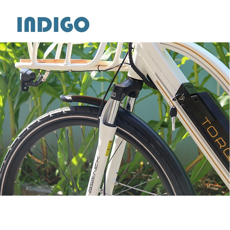 New Model City Electric Bicycle China Pedelec 750w electric bike