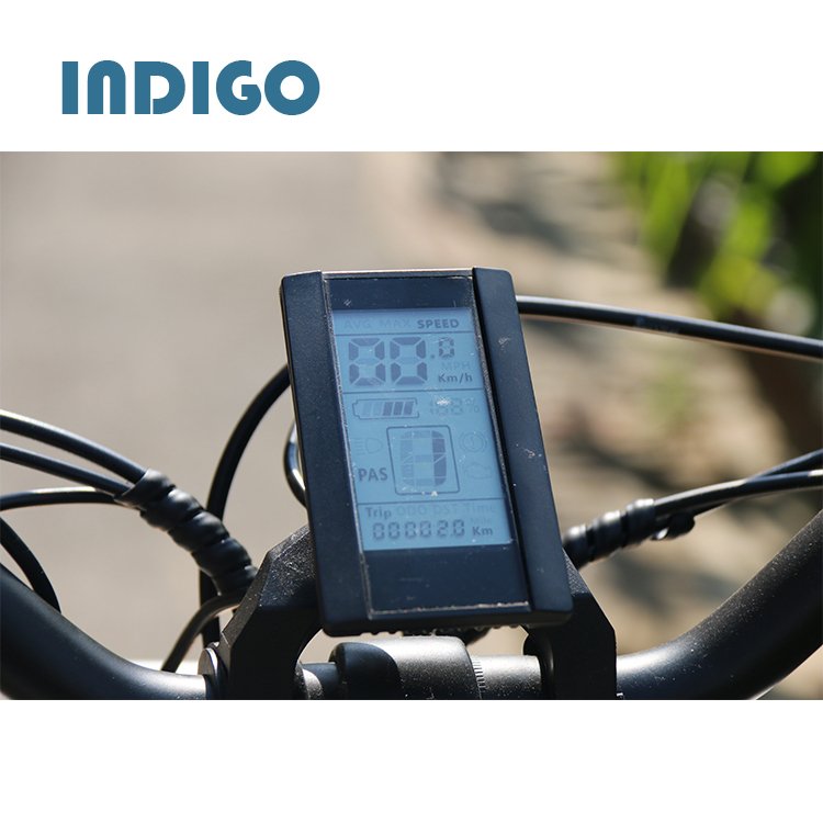 New Model City Electric Bicycle China Pedelec 750w electric bike